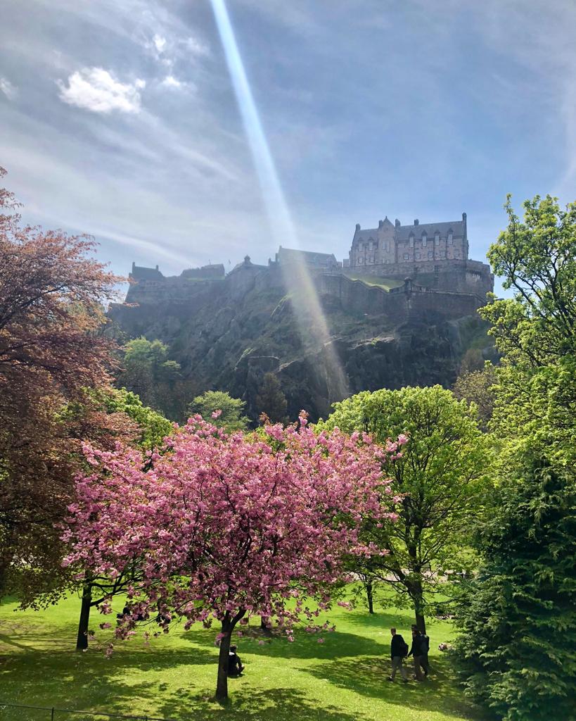 Edinburgh castle seen from Princess Gardens, spring