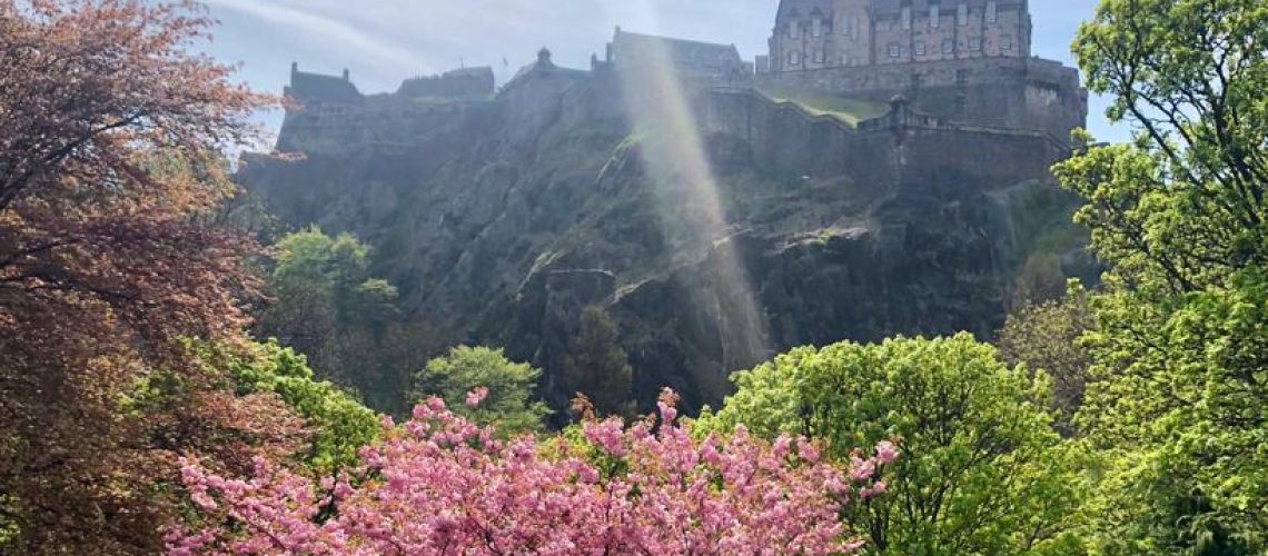 Edinburgh castle seen from Princess Gardens, spring